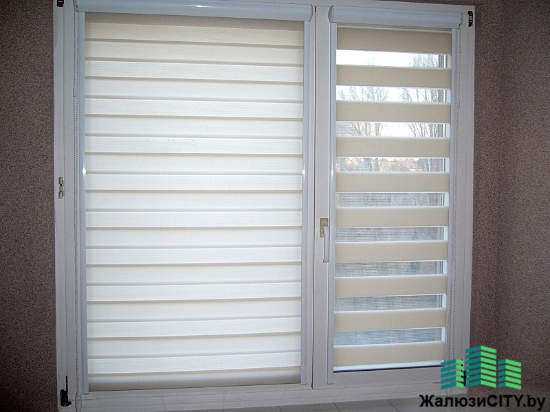 Рольшторы в кассете день-ночь